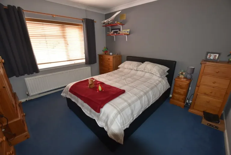 IMG 5408 26 large 1 768x514